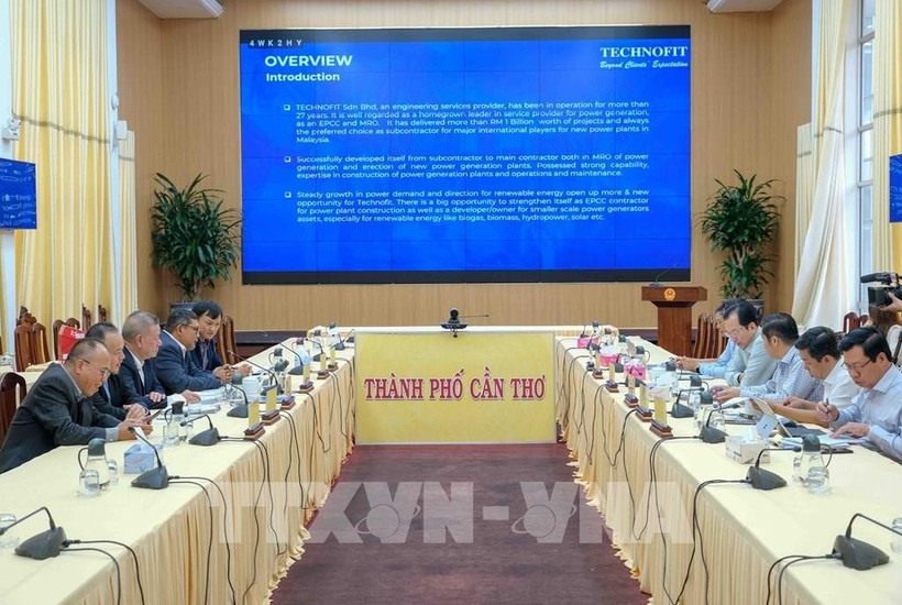 Malaysia firm discusses rice-husk power investment with Can Tho authorities